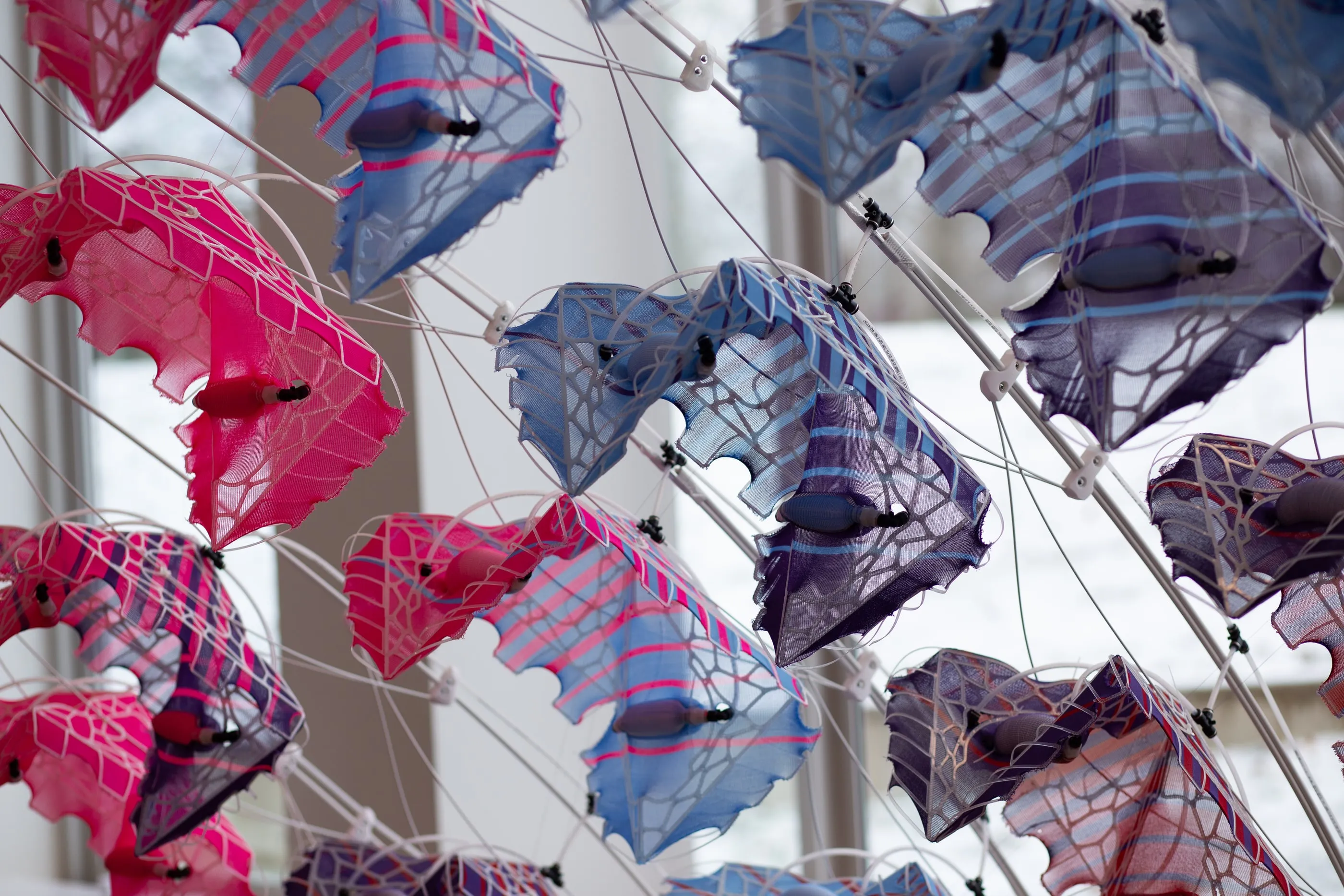 Inflated modules forming a canopy against a window