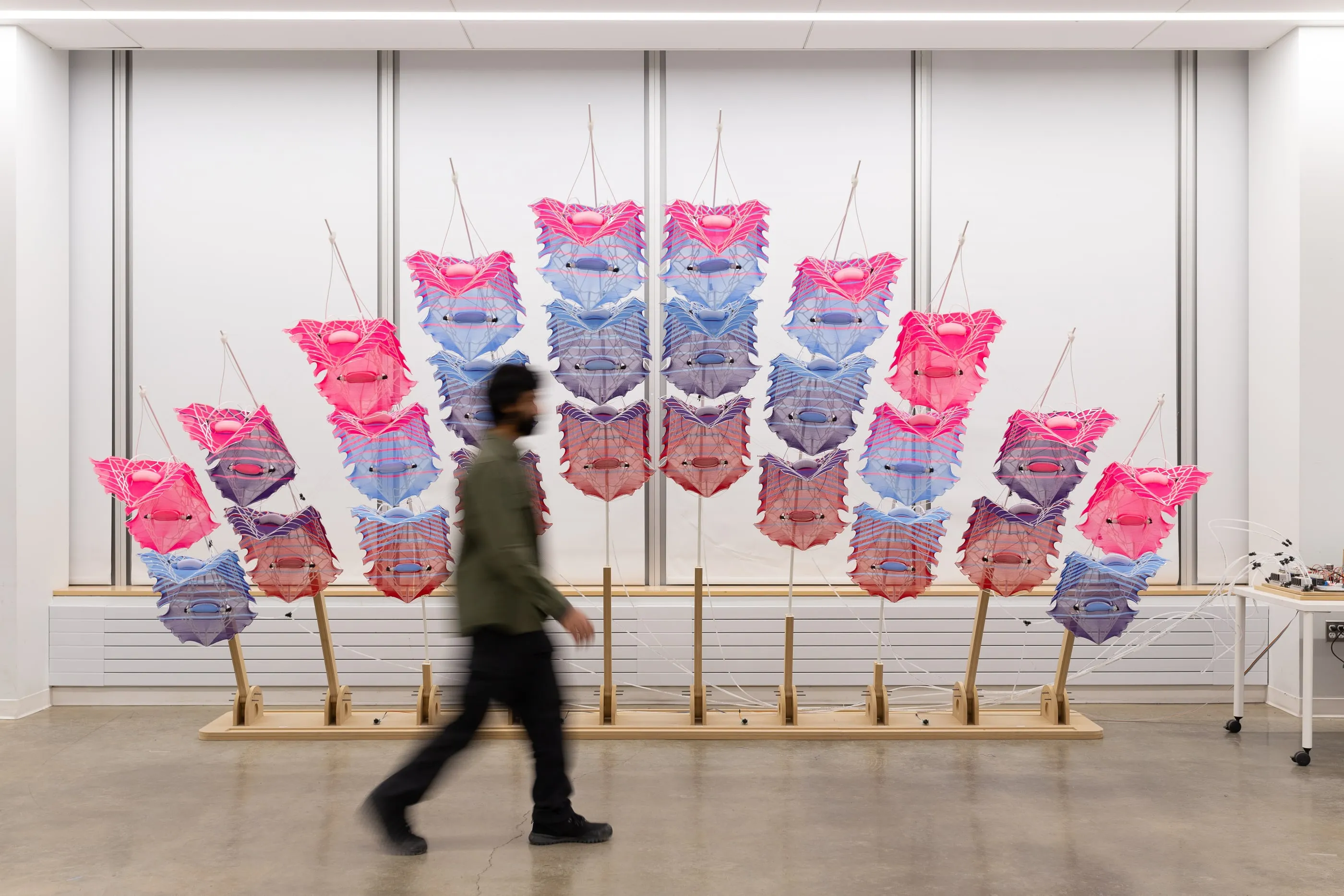 The Pneuma-Bloom installation of pink and blue textile modules on white rods in front of a window wall.