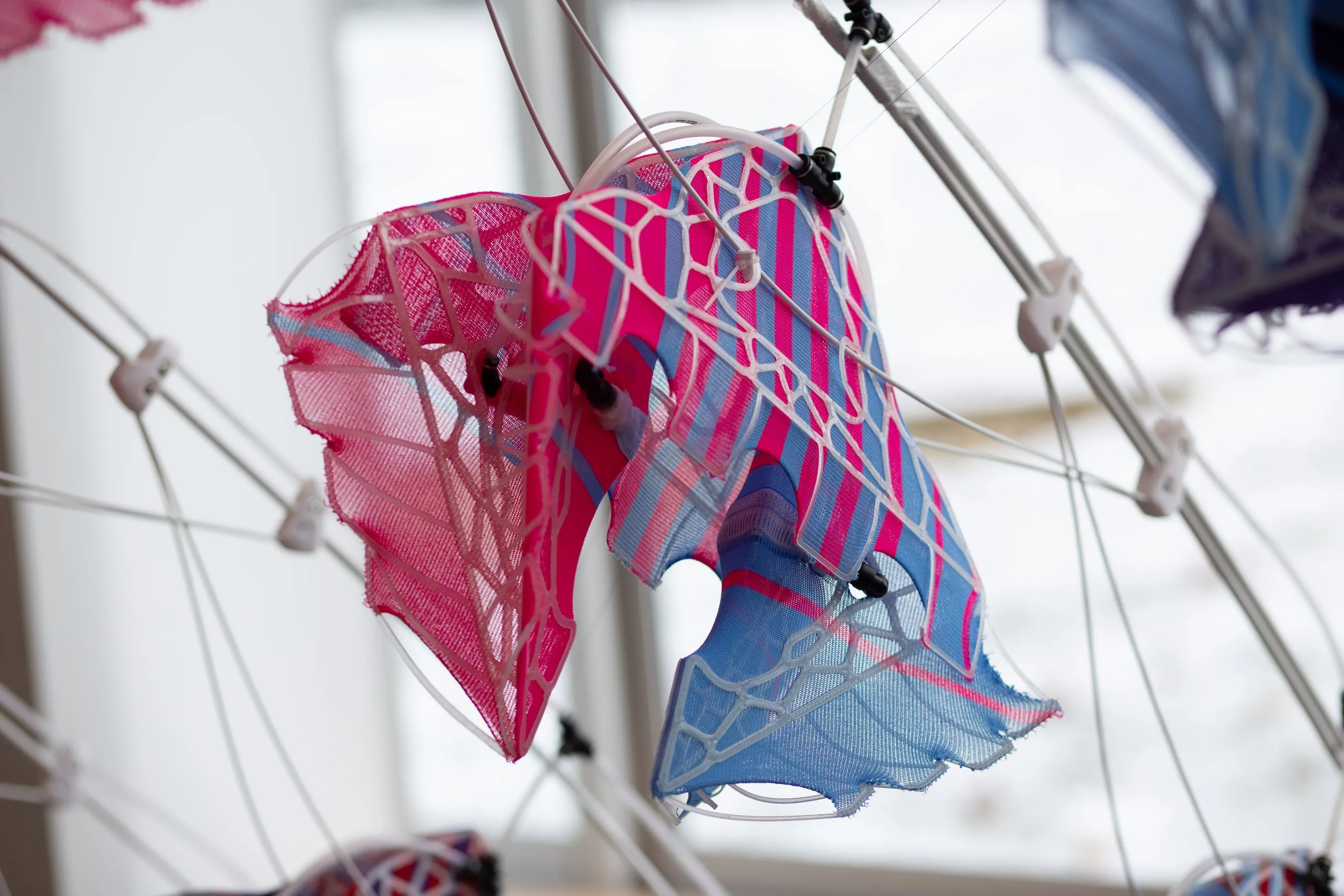 Close-up of a pink and blue module