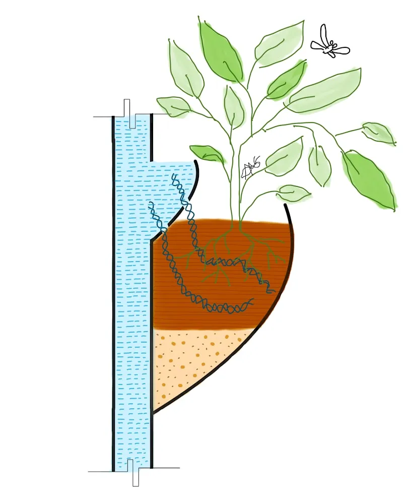 Hand sketch of the wick watering detail